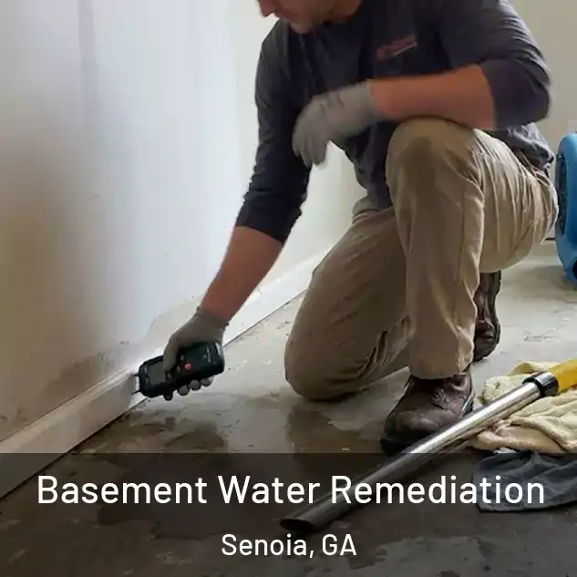  Basement Water Remediation Senoia, GA