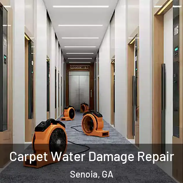  Carpet Water Damage Repair Senoia, GA
