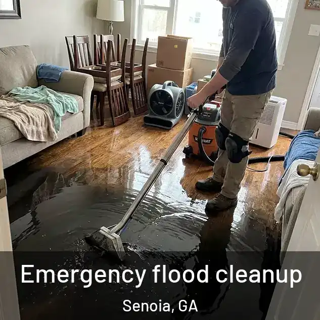  Emergency flood cleanup Senoia, GA