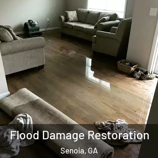  Flood Damage Restoration Senoia, GA