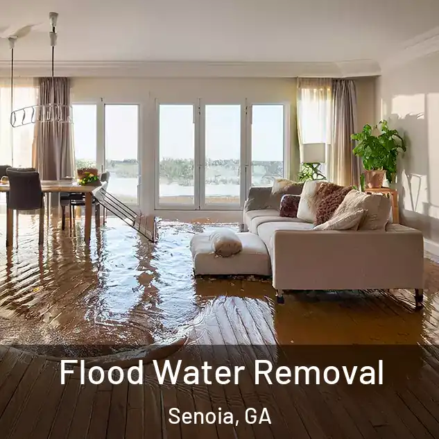  Flood Water Removal Senoia, GA
