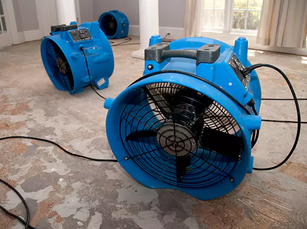 Water Damage Reconstruction in Senoia