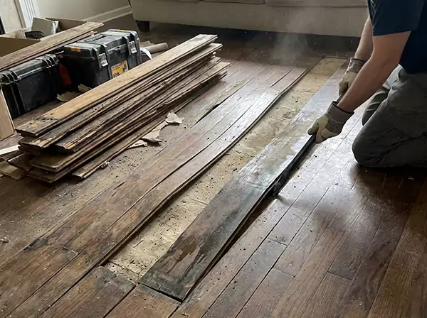 Water Damage Drying in Senoia