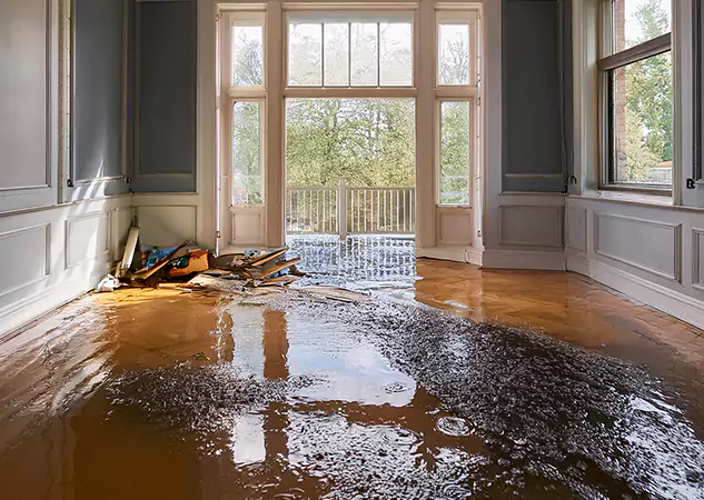 Your Disaster Restoration Services in Senoia, GA