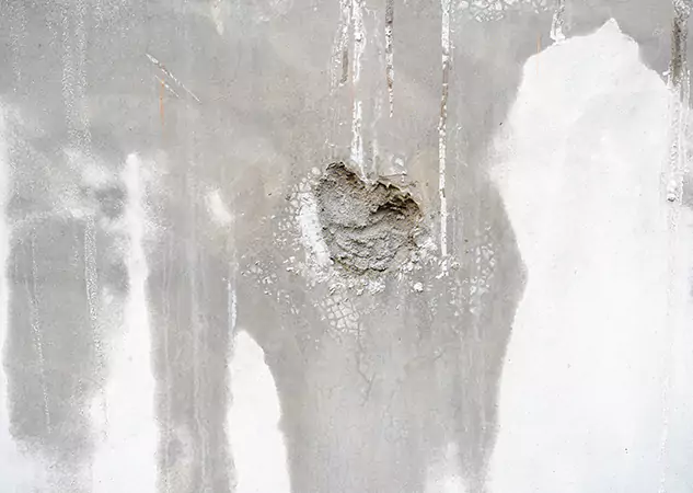 Your Mold Mitigation Solutions Partner in Senoia, GA