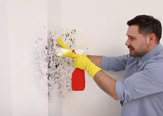 Your Water Mold Fire Restoration Partner in Senoia, GA