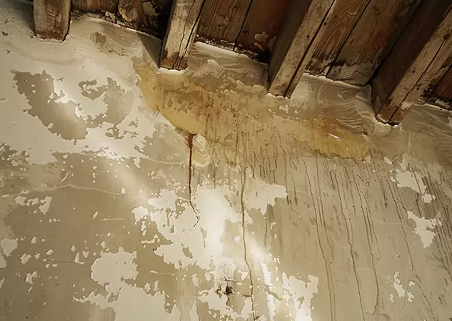 Your Trusted Restoration Company in Senoia, GA