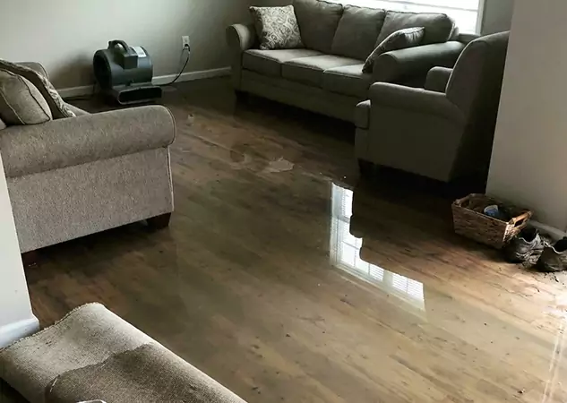 Your Trusted Restoration Company in Senoia, GA