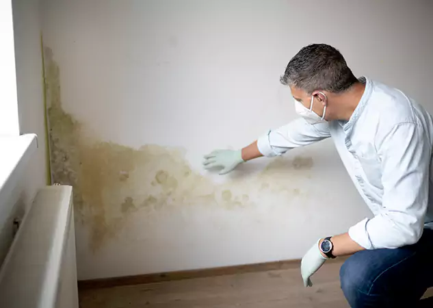Reach Our Remediation Team Before Damage Grows in Senoia, GA!
