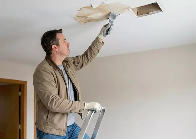 Your Ceiling Damage Repair Experts in Senoia, GA
