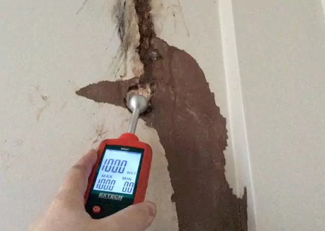 Your Water Damage Assessment Partner in Senoia, GA