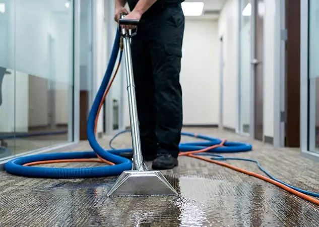 Your Water Damaged Carpet Restoration Partner in Senoia, GA