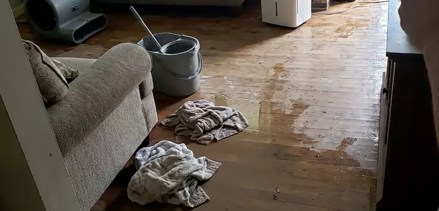Professional Basement Water Remediation Services in Senoia, GA