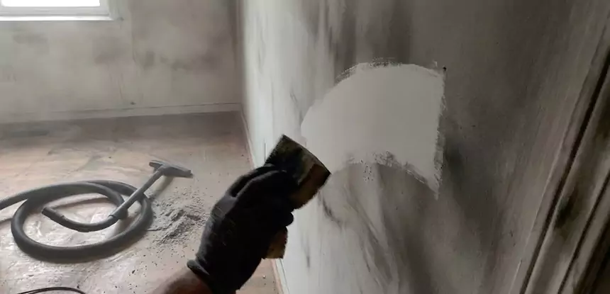 Professional Water and Fire Damage Restoration Services in Senoia, GA