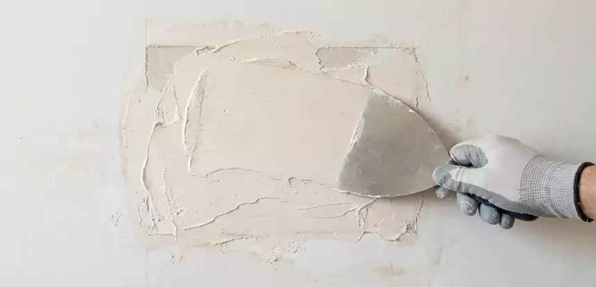 Professional Mold and Drywall Repair Services in Senoia, GA