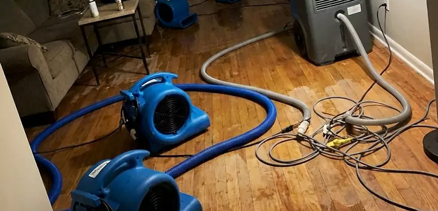 Basement Flood Restoration Services in Senoia