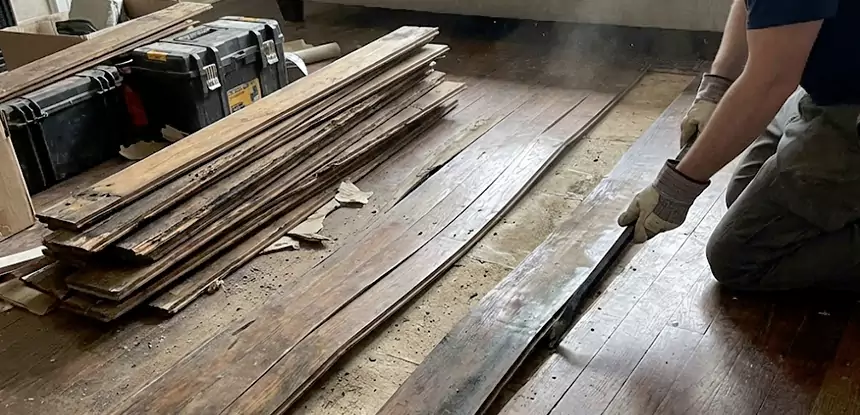Wood Rot and Fungus Repair in Senoia
