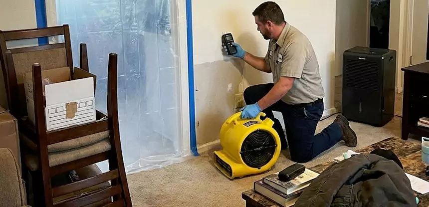 Carpet Water Damage Repair Senoia