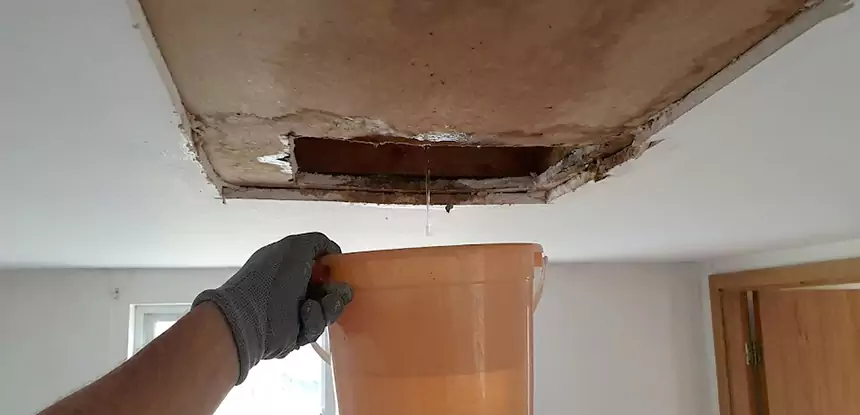 Ceiling Mold Repair Senoia