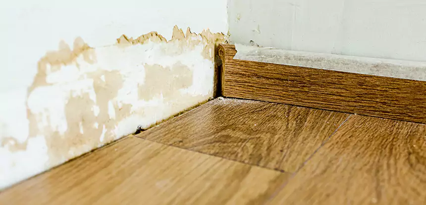 Professional Fix Water Damaged Wood Services in Senoia, GA