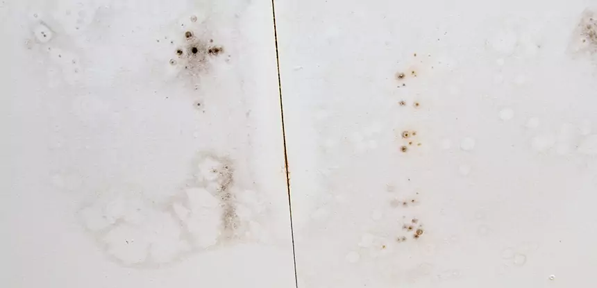 Professional Water Stain Repair Services in Senoia, GA