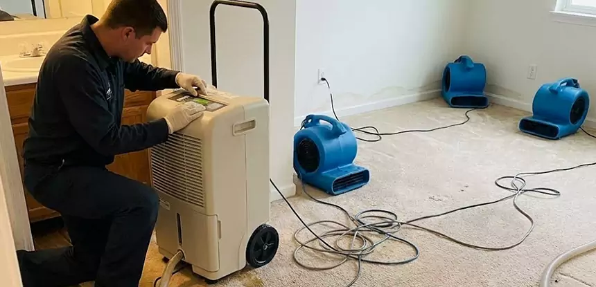 Professional Wet Carpet Removal Services in Senoia, GA