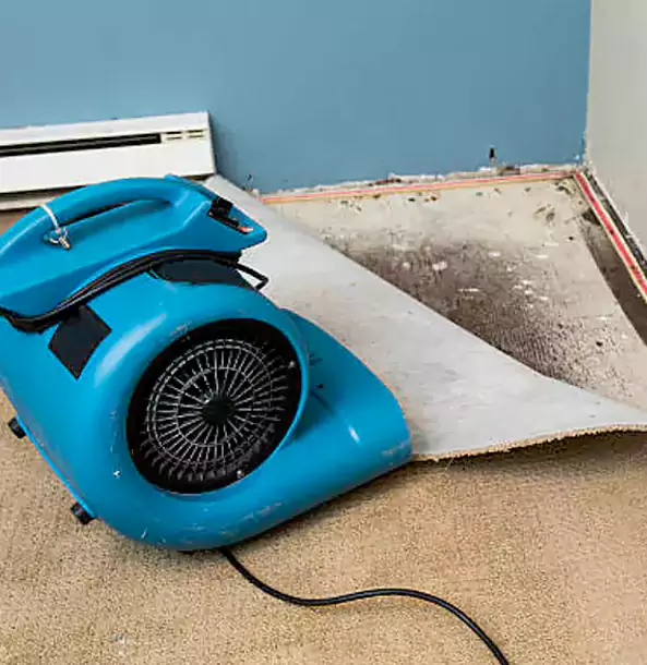 Why Senoia Trusts Senoia Restoration Pro for Carpet Flood Recovery?