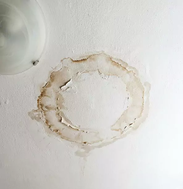 Why Senoia Property Owners Choose Senoia Restoration Pro for Ceiling Water Damage Restoration?