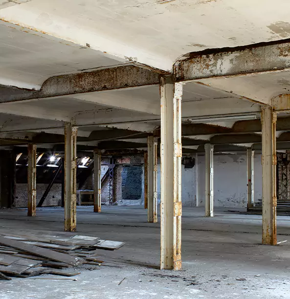 What Makes Our Crawl Space Services Stand Out in Senoia, GA?