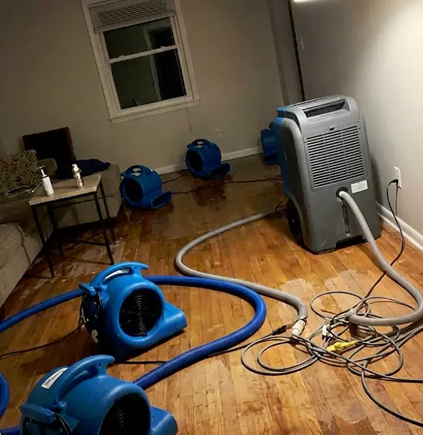 Why Senoia Calls Senoia Restoration Pro First for Emergency Restoration?