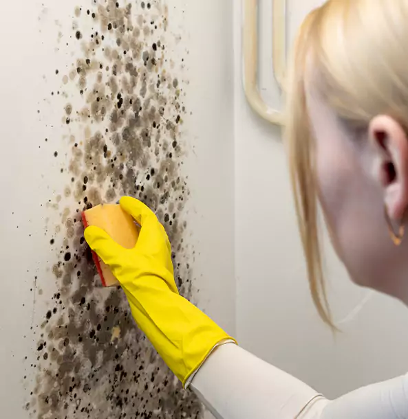 Why Senoia Restoration Pro Leads Mold Remediation in Senoia?