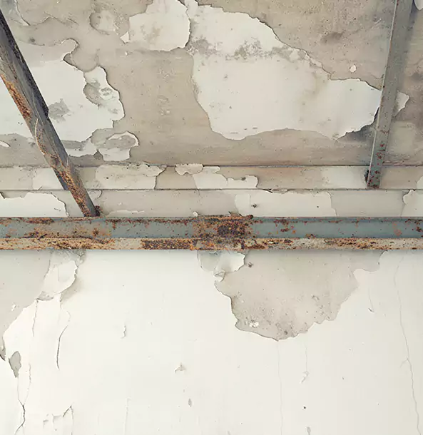 Why Senoia Restoration Pro Is the Right Choice in Senoia, GA?