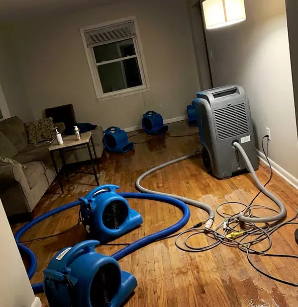 Why Senoia Property Owners Rely on Senoia Restoration Pro for Remediation?
