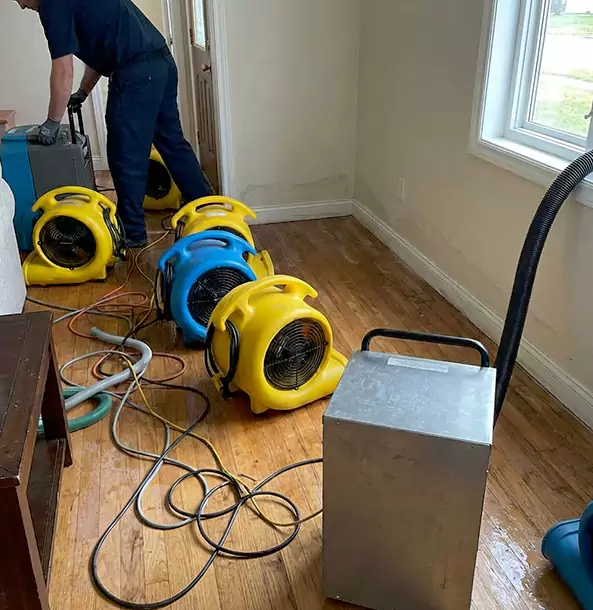 Why Senoia Property Owners Choose Senoia Restoration Pro for Remediation?
