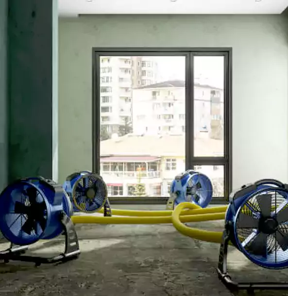 Why Senoia Property Owners Trust Senoia Restoration Pro for Water Damage Drying?