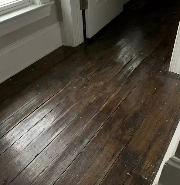 Why Senoia Homeowners Trust Senoia Restoration Pro to Fix Water Damaged Wood?