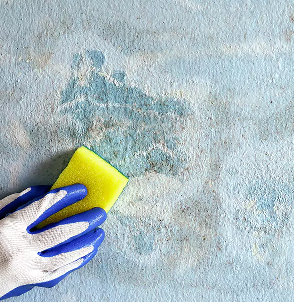 Why Senoia Restoration Pro Is the Right Choice in Senoia, GA?