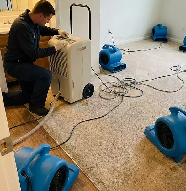Why Senoia Homeowners and Businesses Trust Senoia Restoration Pro for Carpet Drying?