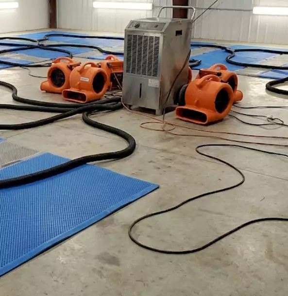 Why Senoia Homeowners and Businesses Choose Senoia Restoration Pro for Wet Carpet Removal?