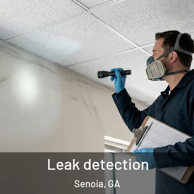  Leak detection Senoia, GA