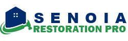 Senoia Restoration Pro