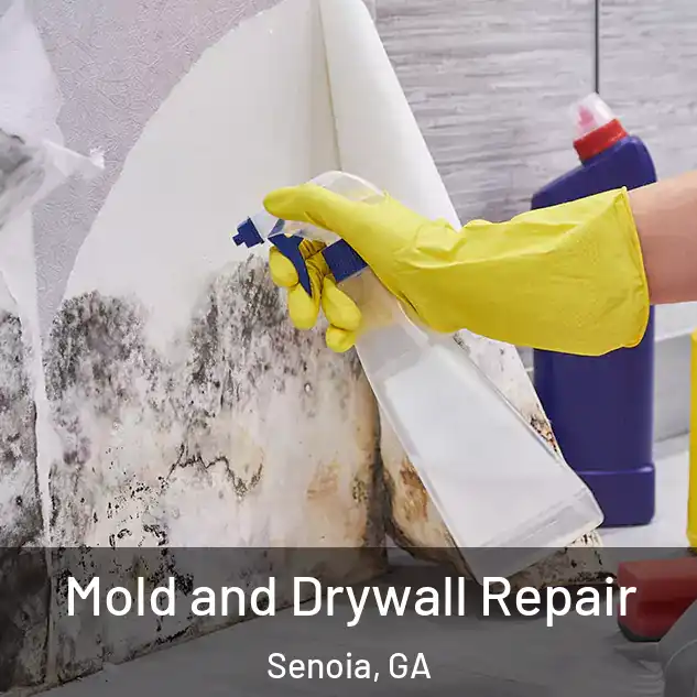  Mold and Drywall Repair Senoia, GA