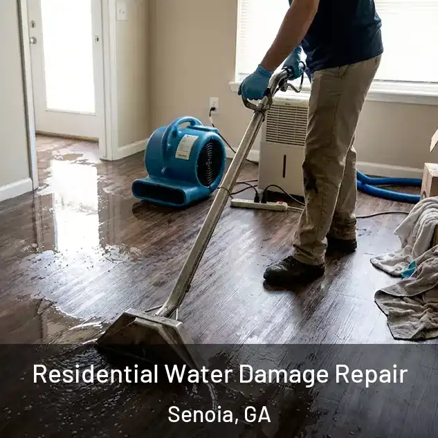  Residential Water Damage Repair Senoia, GA