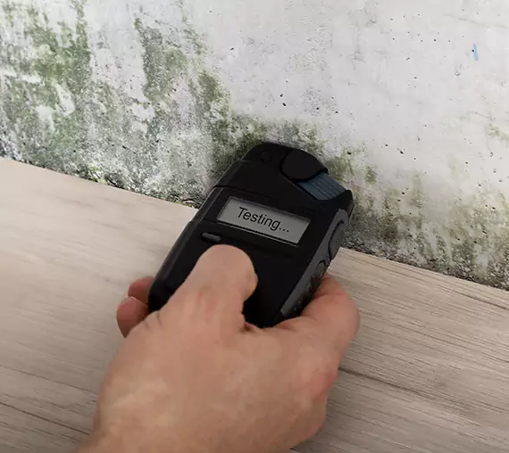 Mold Remediation Service Senoia