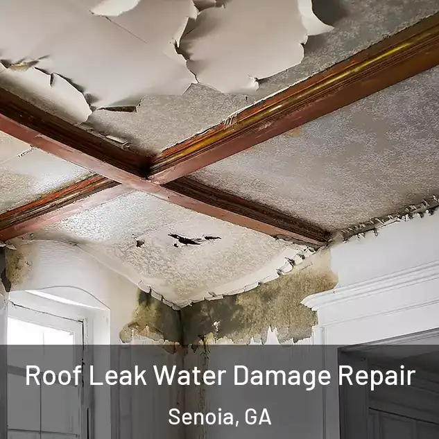  Roof Leak Water Damage Repair Senoia, GA