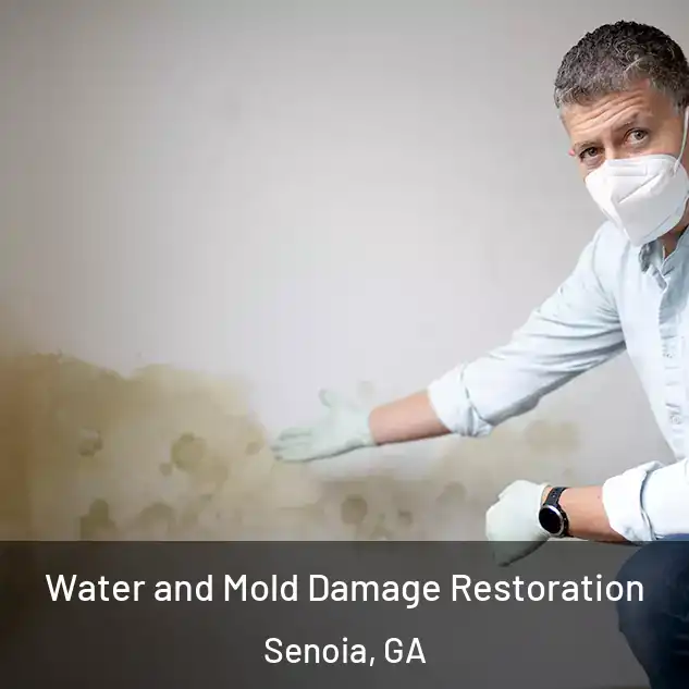  Water and Mold Damage Restoration Senoia, GA