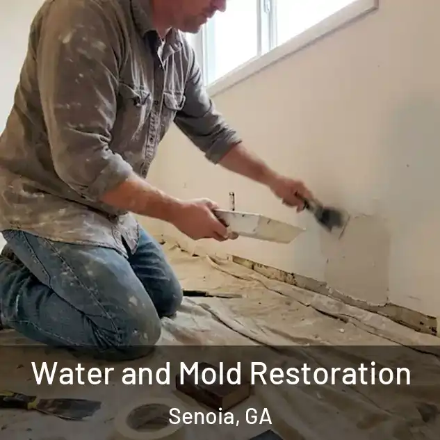  Water and Mold Restoration Senoia, GA