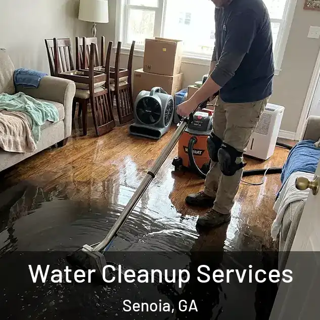  Water Cleanup Services Senoia, GA