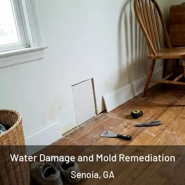  Water Damage and Mold Remediation Senoia, GA