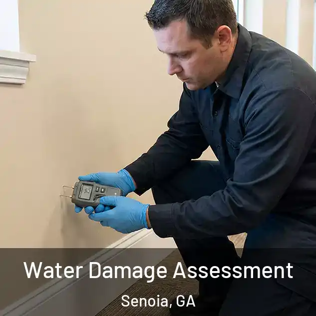  Water Damage Assessment Senoia, GA